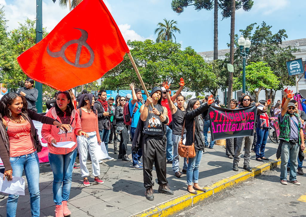 Stop Bullfights by Dr Isaac Vaisman (Group 5)